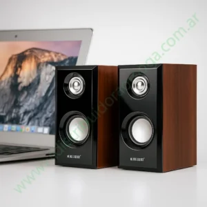 Parlante Leerfei E-1014 Negro